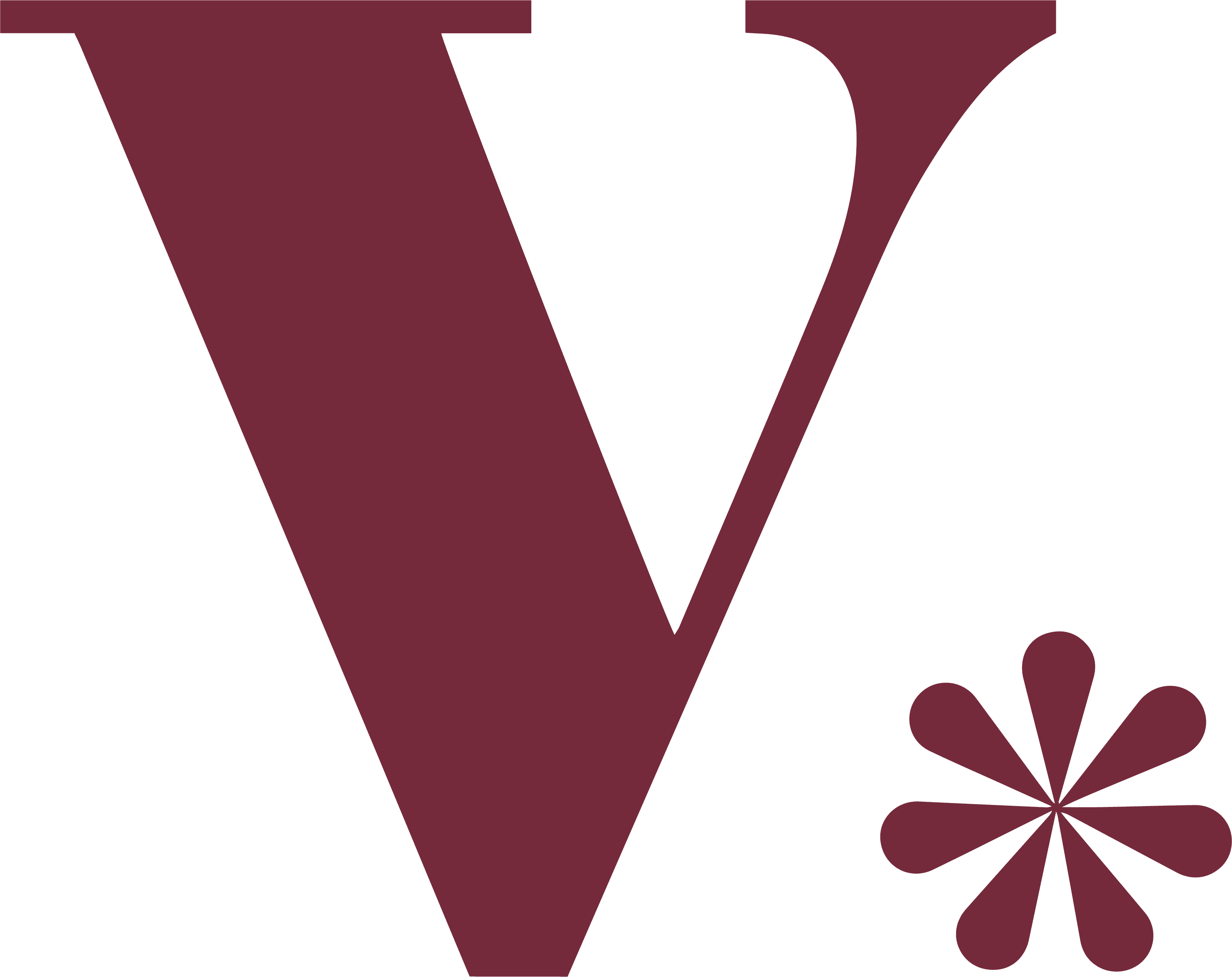 V logo